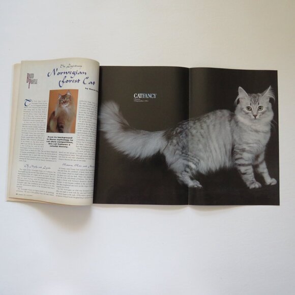 Cat Companions in Life and Catfancy Lot of 2 Cat Magazines - Picture 5 of 7